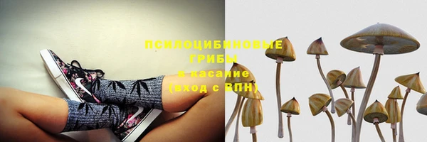 спиды Костерёво