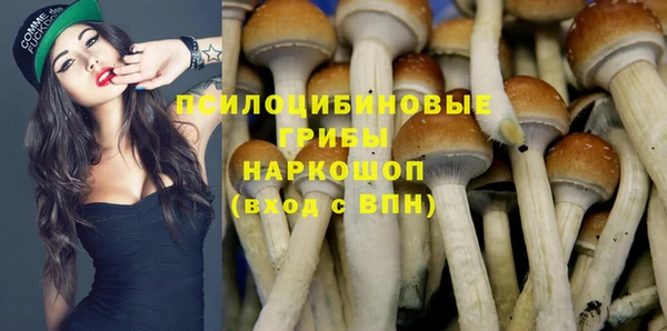 трава Краснослободск