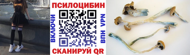 Псилоцибиновые грибы Magic Shrooms  Таруса 